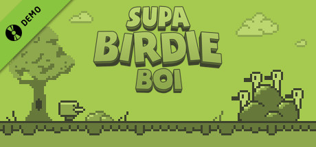 Supa Birdie Boi Demo cover art