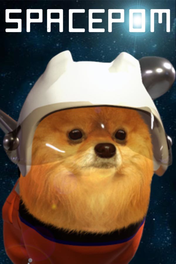 SpacePOM for steam