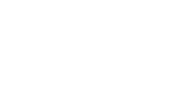 Viking Survival Logo