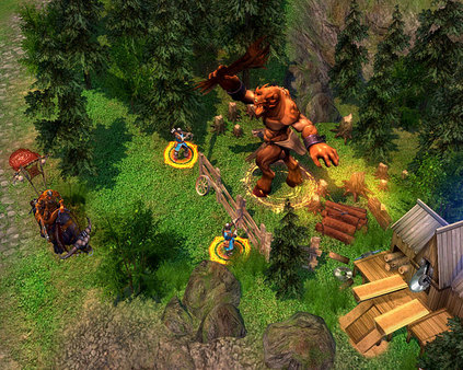 Скриншот из Heroes of Might & Magic V: Tribes of the East
