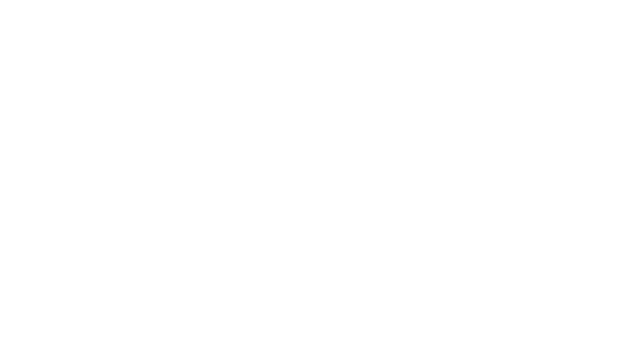 Weird Simulator Logo