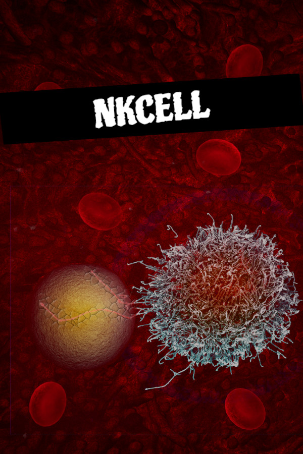 Steam portrait for NKCell.