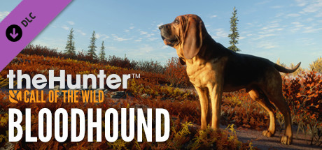 theHunter: Call of the Wild™ - Bloodhound cover art
