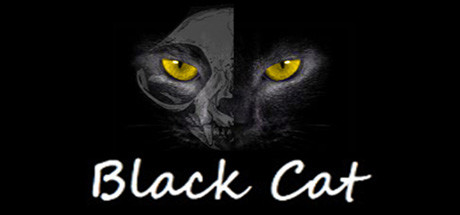Black Cat cover art