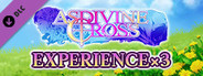 Experience x3 - Asdivine Cross