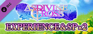 Experience & SP x2 - Asdivine Cross