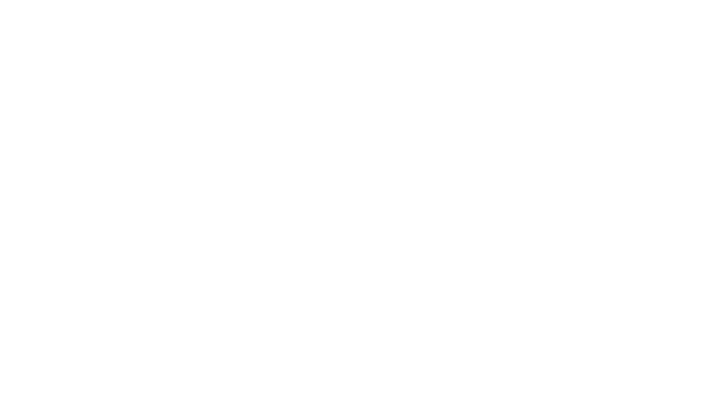Twin Mirror Logo