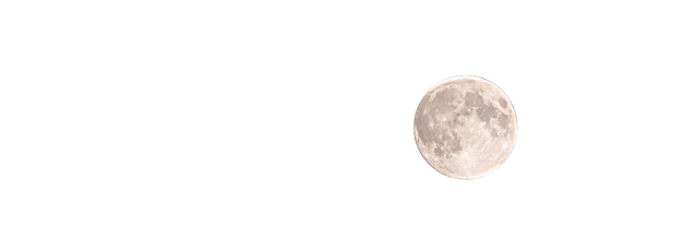 TheLastHope Logo