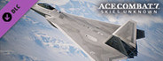 ACE COMBAT™ 7: SKIES UNKNOWN - FB-22 Strike Raptor Set