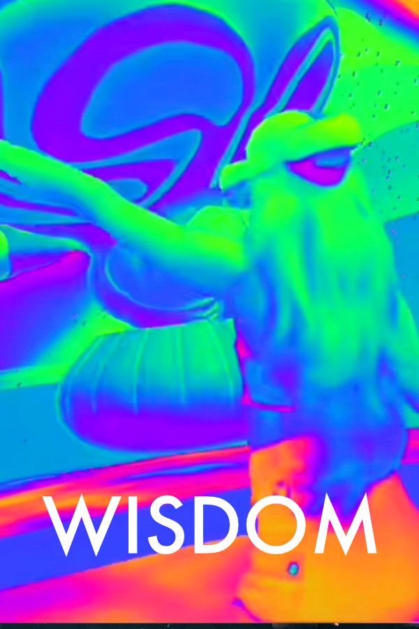Wisdom