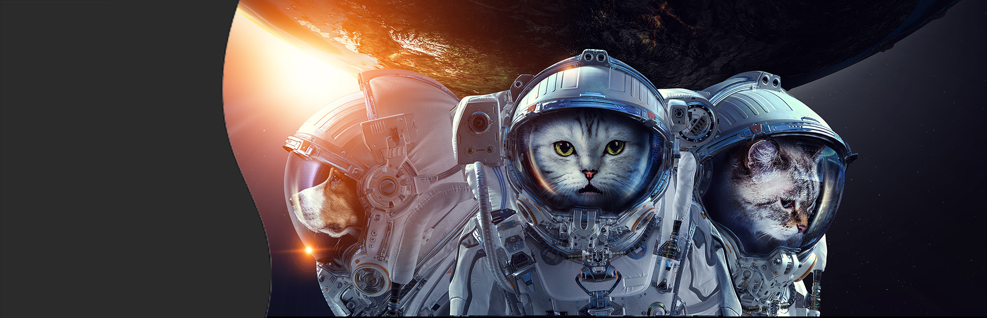 inPixio Photo Studio Pro