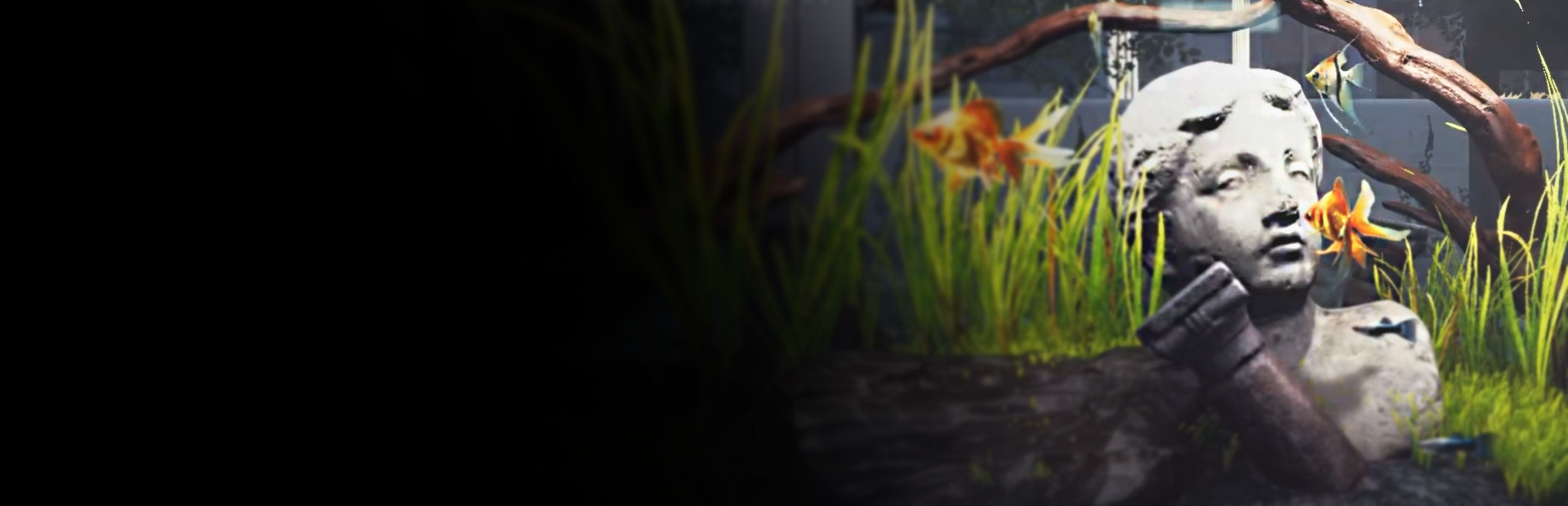 Aquarist - My First Job