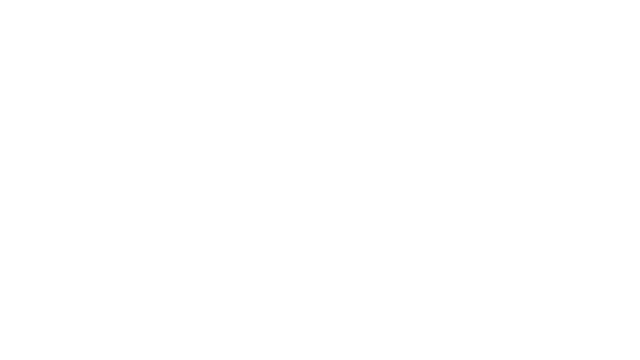 Wild Runs Logo