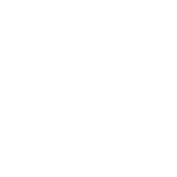 Paladin Dream Logo