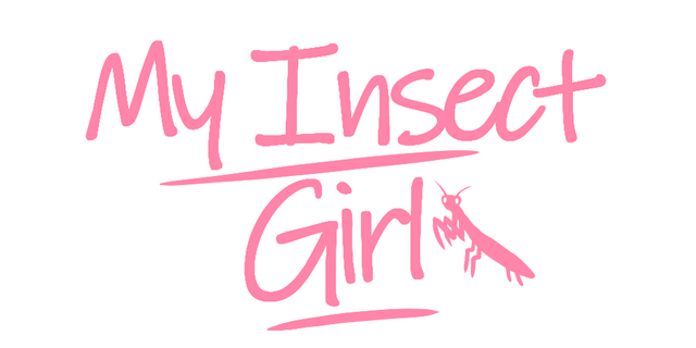 My Insect Girl Can't Be This Cute Logo