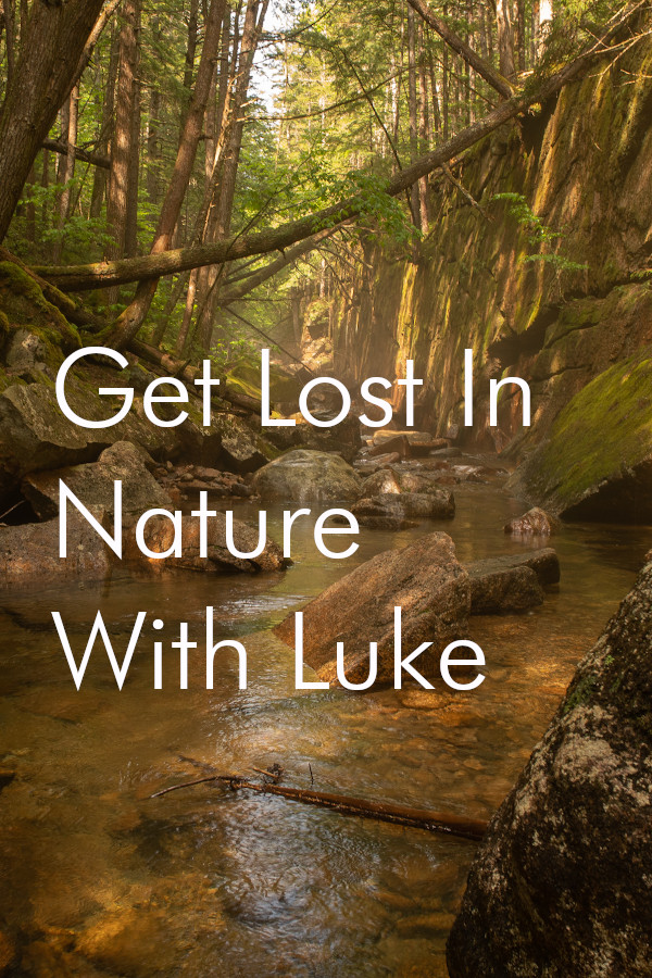 Steam portrait for Get Lost In Nature With Luke.