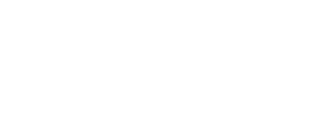 Need For Conquest Logo