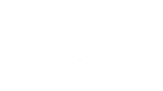 Cyberplug Logo