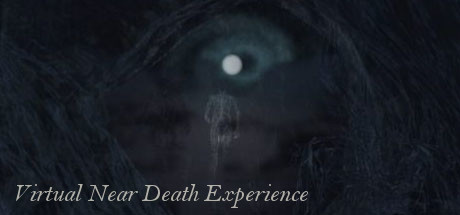 Virtual Near Death Experience cover art