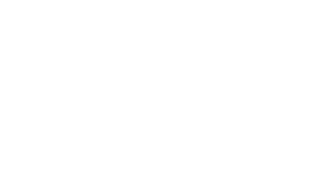 Midnight Driver Logo
