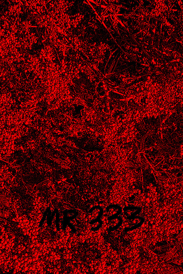MR 333
