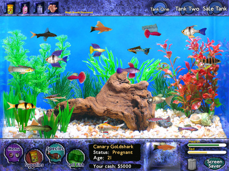 Fish Tycoon recommended requirements