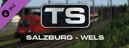 Train Simulator: Salzburg - Wels Route Add-On