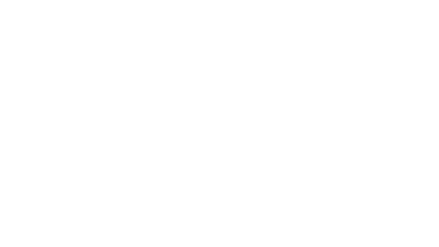 BSurfing Logo