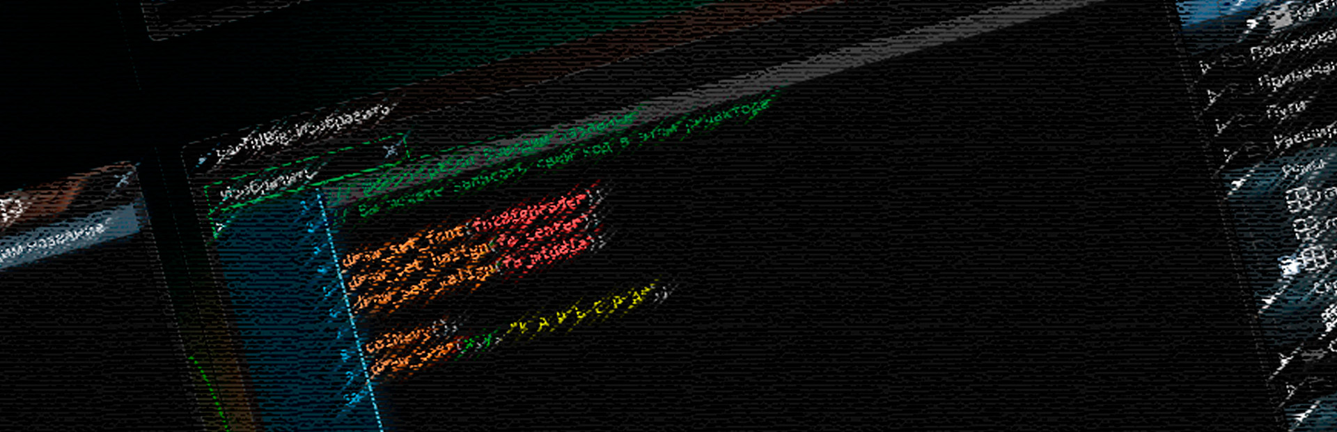 Career of the President