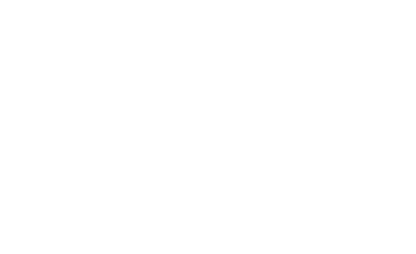 Ankora: Lost Days- Backlog.rip