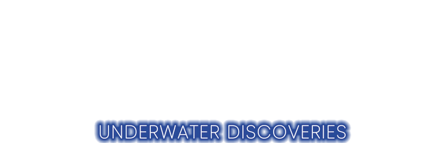 subROV : Underwater Discoveries Logo