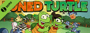 Tuned Turtle Demo