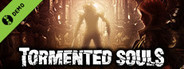 Tormented Souls Demo