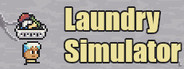 Laundry Simulator