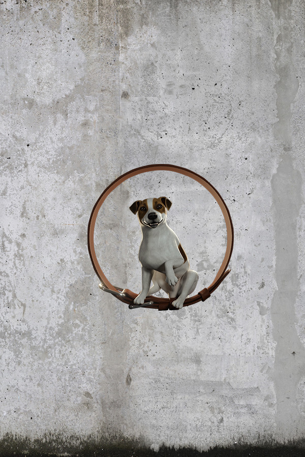 Steam portrait for Animal Shelter: Prologue.