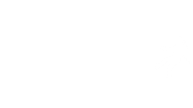 Life Not Supported Logo