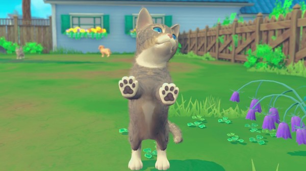 我的领域:小猫小狗/My Universe – Puppies & Kittens