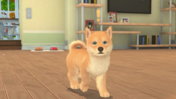 我的领域:小猫小狗/My Universe – Puppies & Kittens