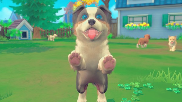 我的领域:小猫小狗/My Universe – Puppies & Kittens
