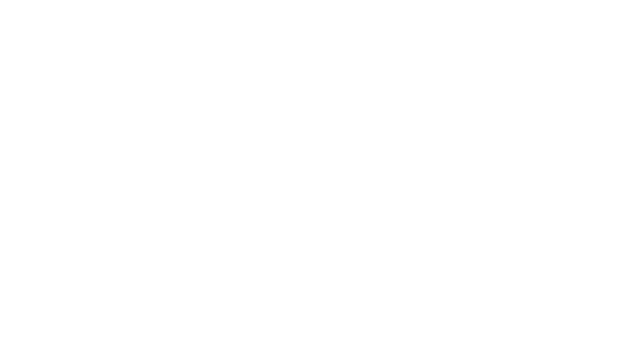 Immersion Sector Logo