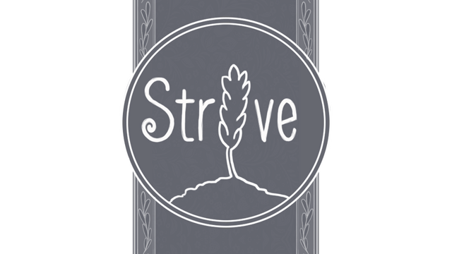 Str!ve Logo