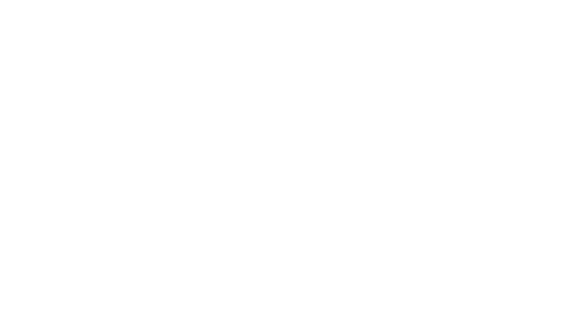 AirFighter Logo