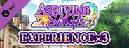 Experience x3 - Asdivine Saga