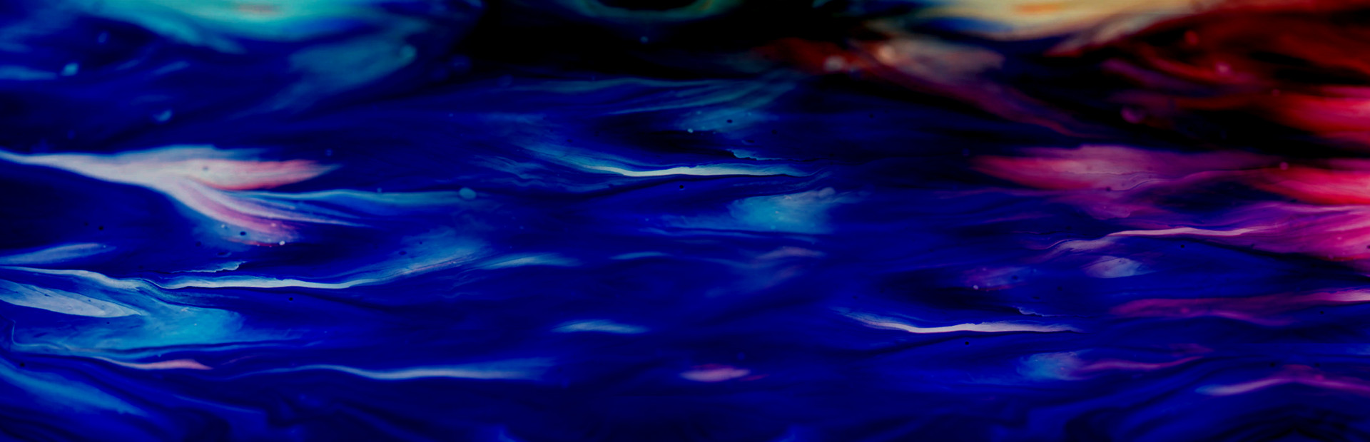 VEGAS 19 Edit Steam Edition