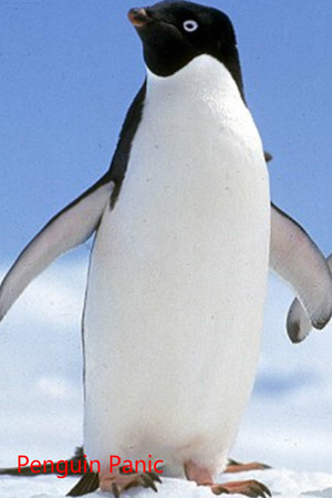 Penguin Panic