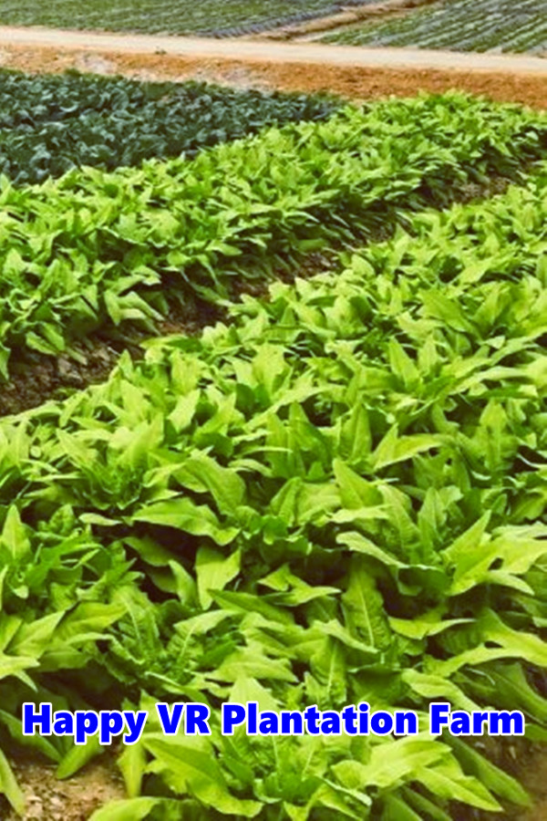 Happy VR Plantation Farm