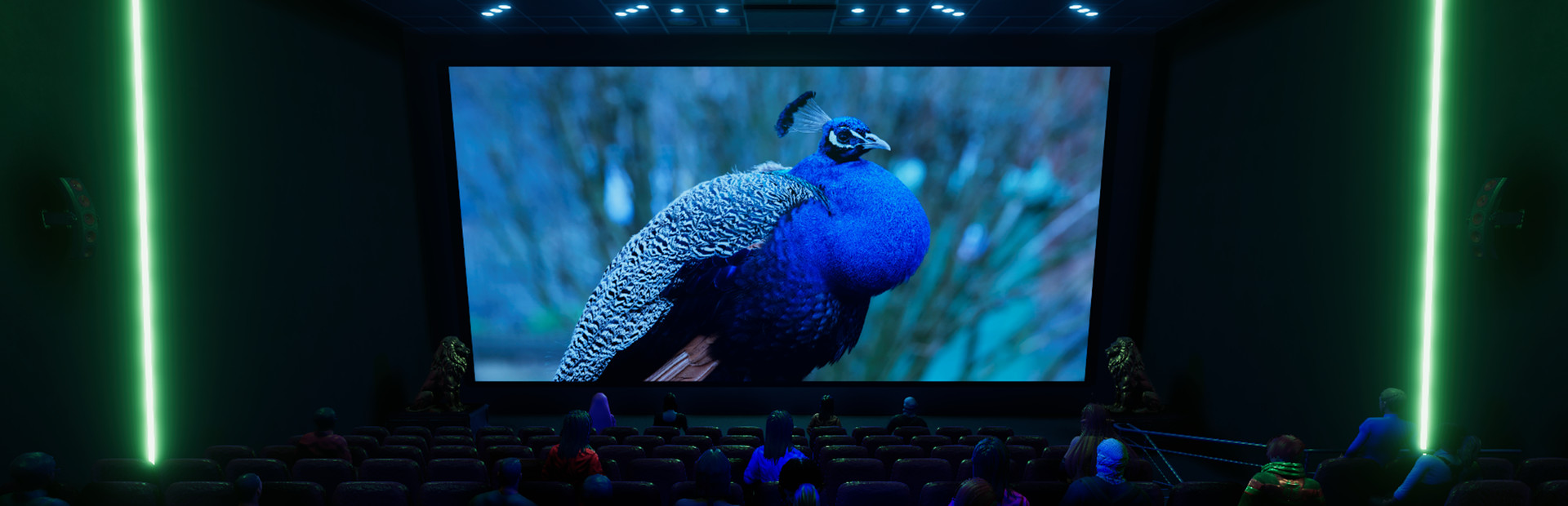 Phoenix Pro Theater Media Player