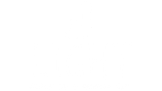 LIGHT: Black Cat & Amnesia Girl Logo
