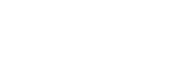 Determina Logo