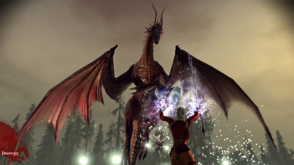 Скриншот из Dragon Age: Origins
